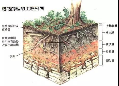http://www.bioway88.cn/up_photo/moon-system/images/20200831132709_2158.jpg